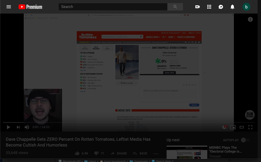 Youtube Video Privacy Dimmer