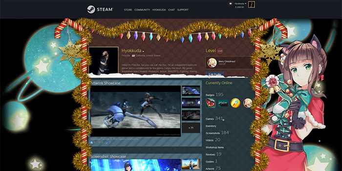 Steam - Holiday Profile 2019