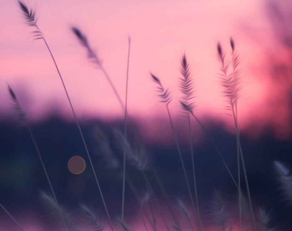 Roblox Theme - Sunset Over Lake