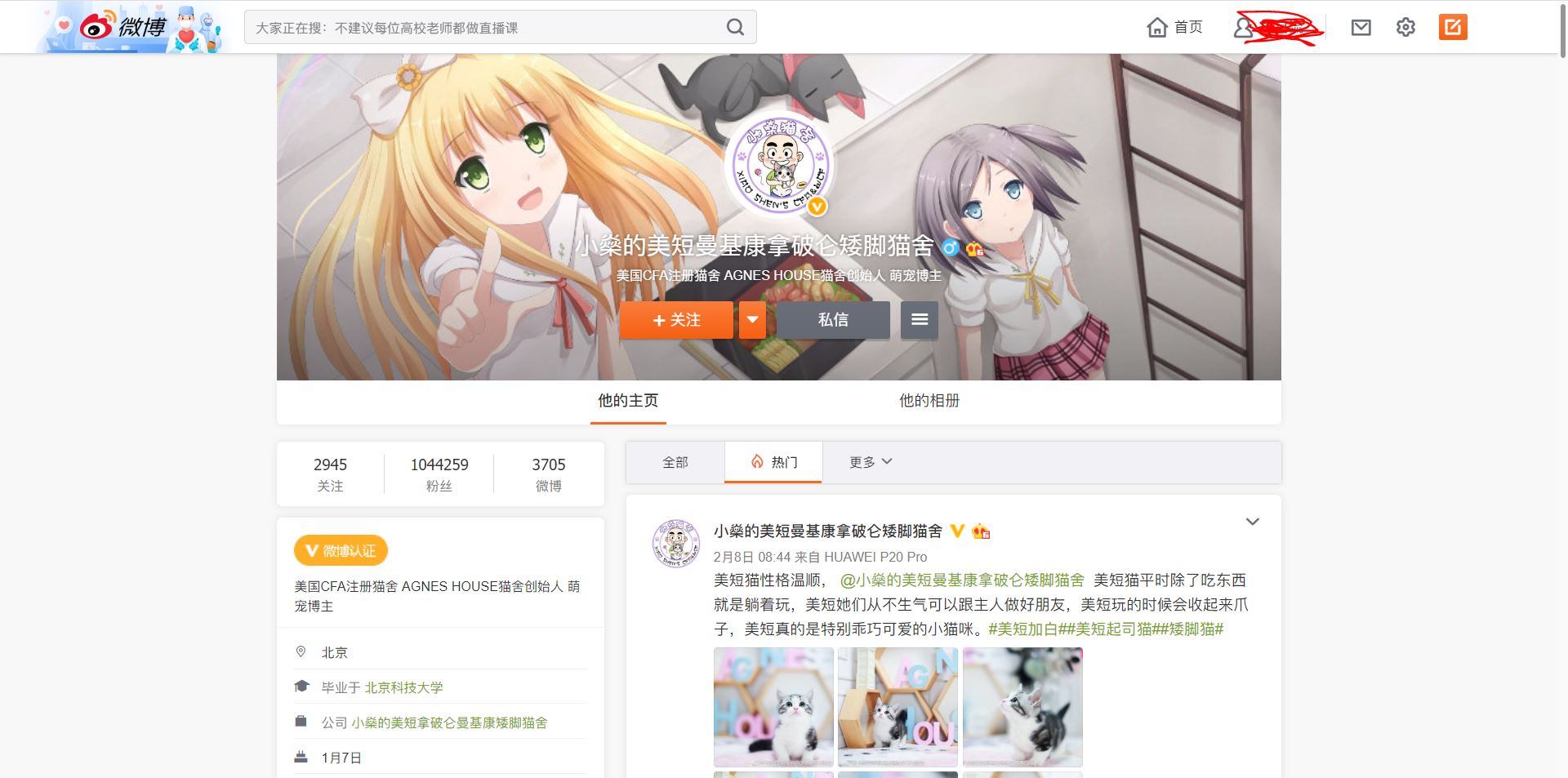 【2020更新】简洁微博