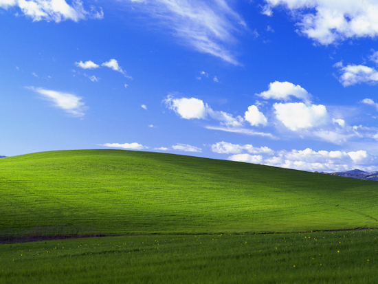 Windows xp background