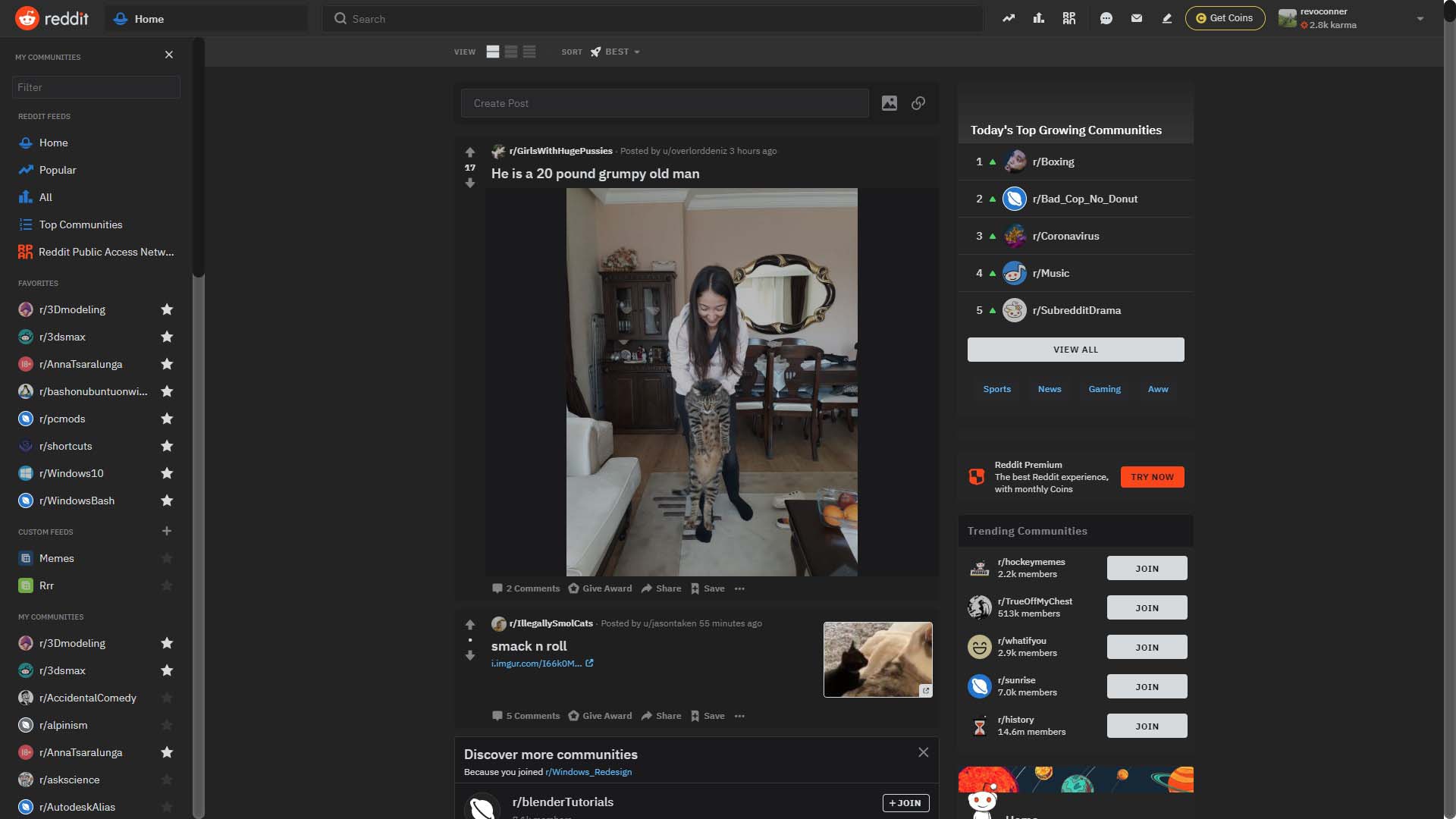 Reddit Dark (Less Contrast)