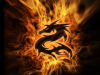 <b>About:Blank - Black Dragon Flame