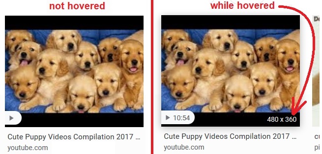 Google Images Width x Height Dimensions