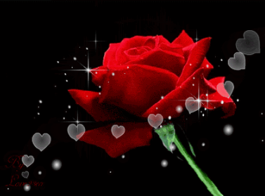 Surviv Roses