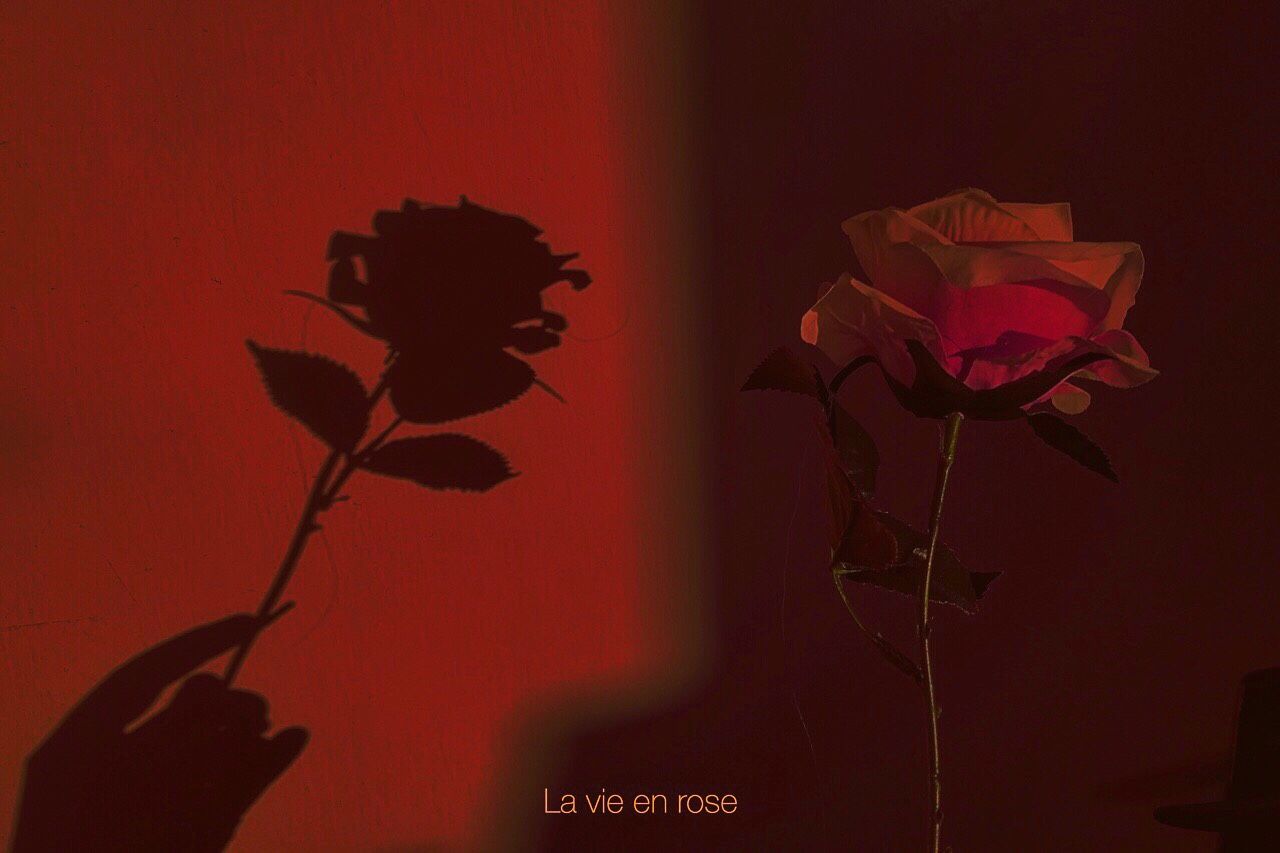 Red Persephone Aesthetic