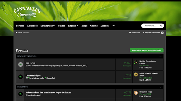 Cannaweed Black
