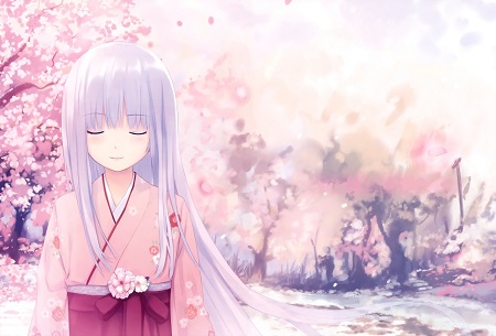 Sakura's Cherry Blossom 2024 (Changing Background)