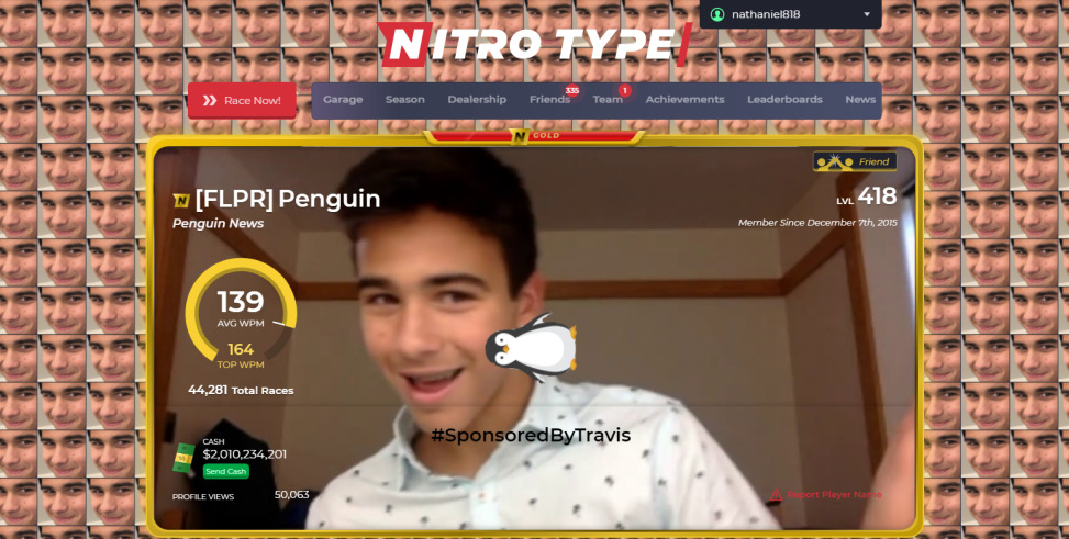Penguin Typer Theme