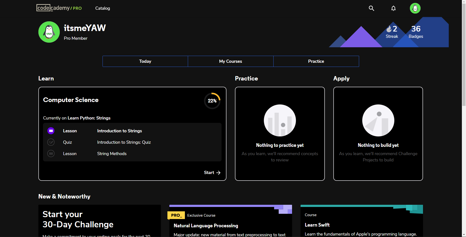 CodeCademy True Material Darkmode