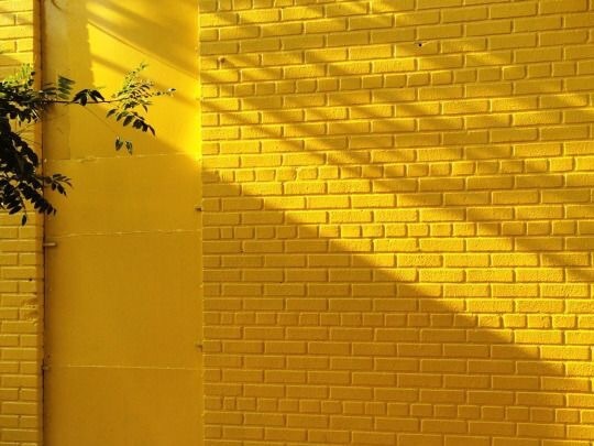 Yellow Wall aesthetic