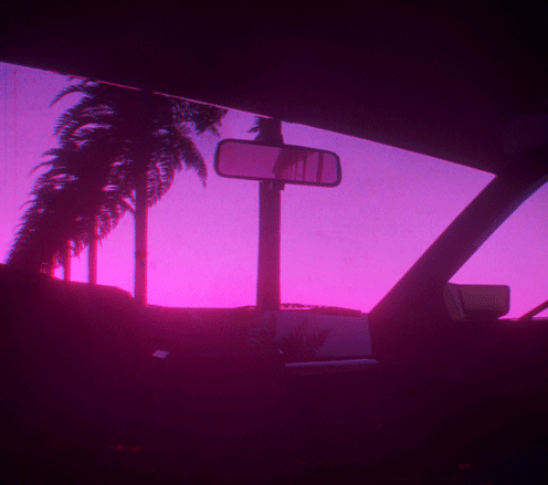 Sunny Palm Tree (ROBLOX)