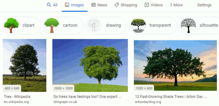 Google images - Show size
