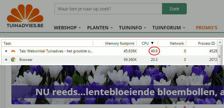 Tuinadvies/Matelma - Fix CPU consumption