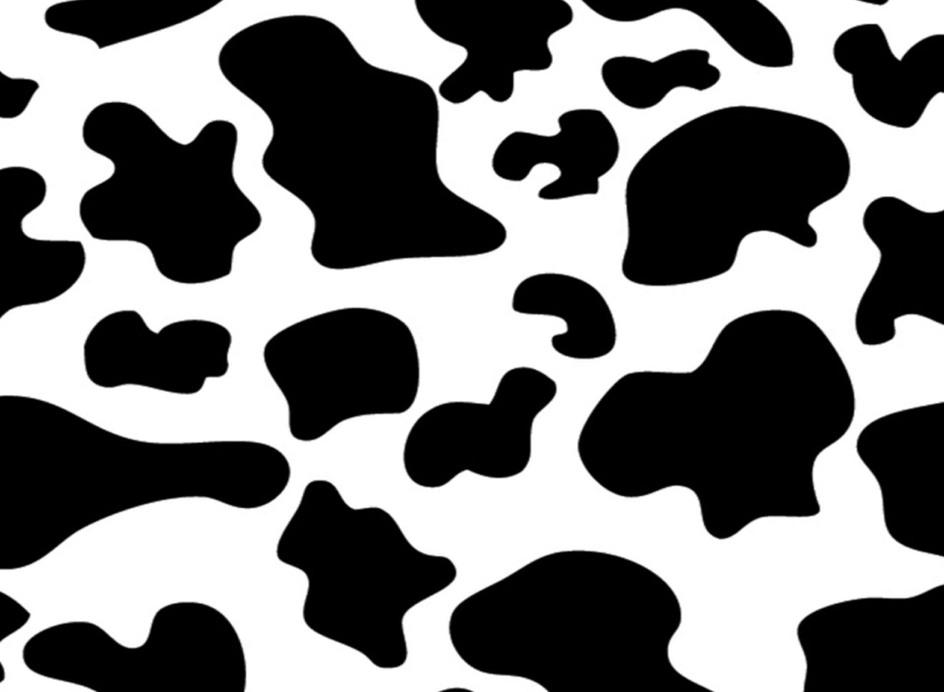 Moo print for Roblox.