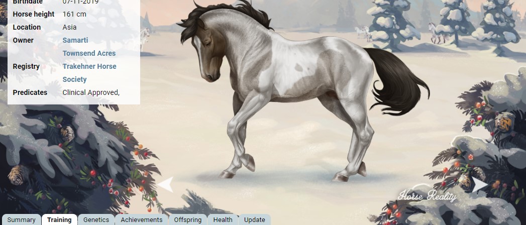 HR QoL: Horse Image Watermark