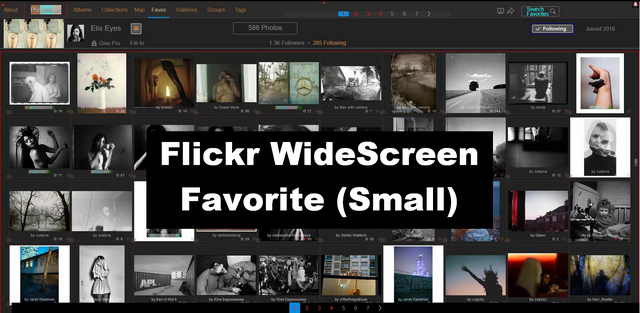 Flickr WideScreen - Favorite (Small) v.202
