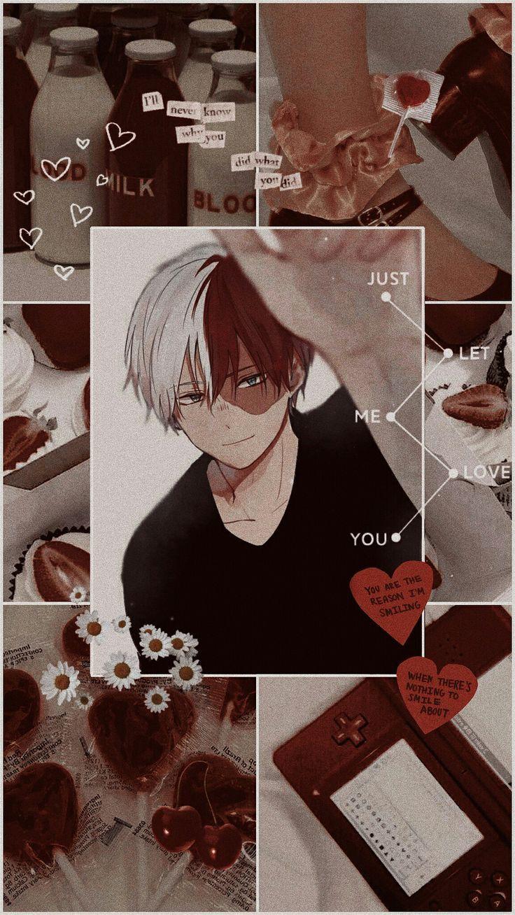 Shoto Todoroki Aesthetic