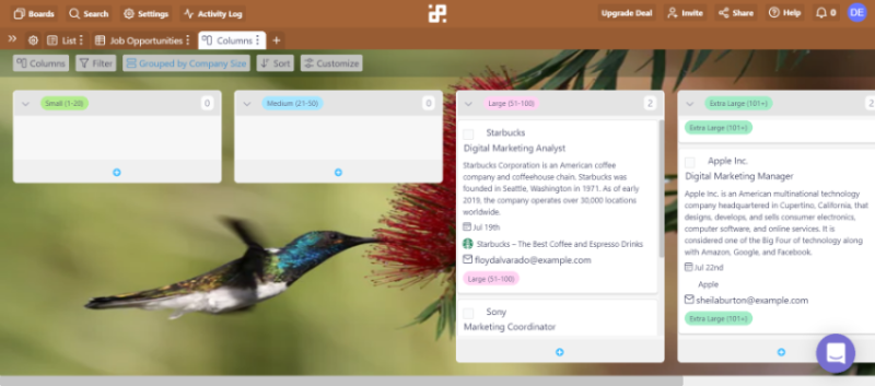 Infinity  - Hummingboard