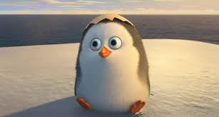 NT Penguin