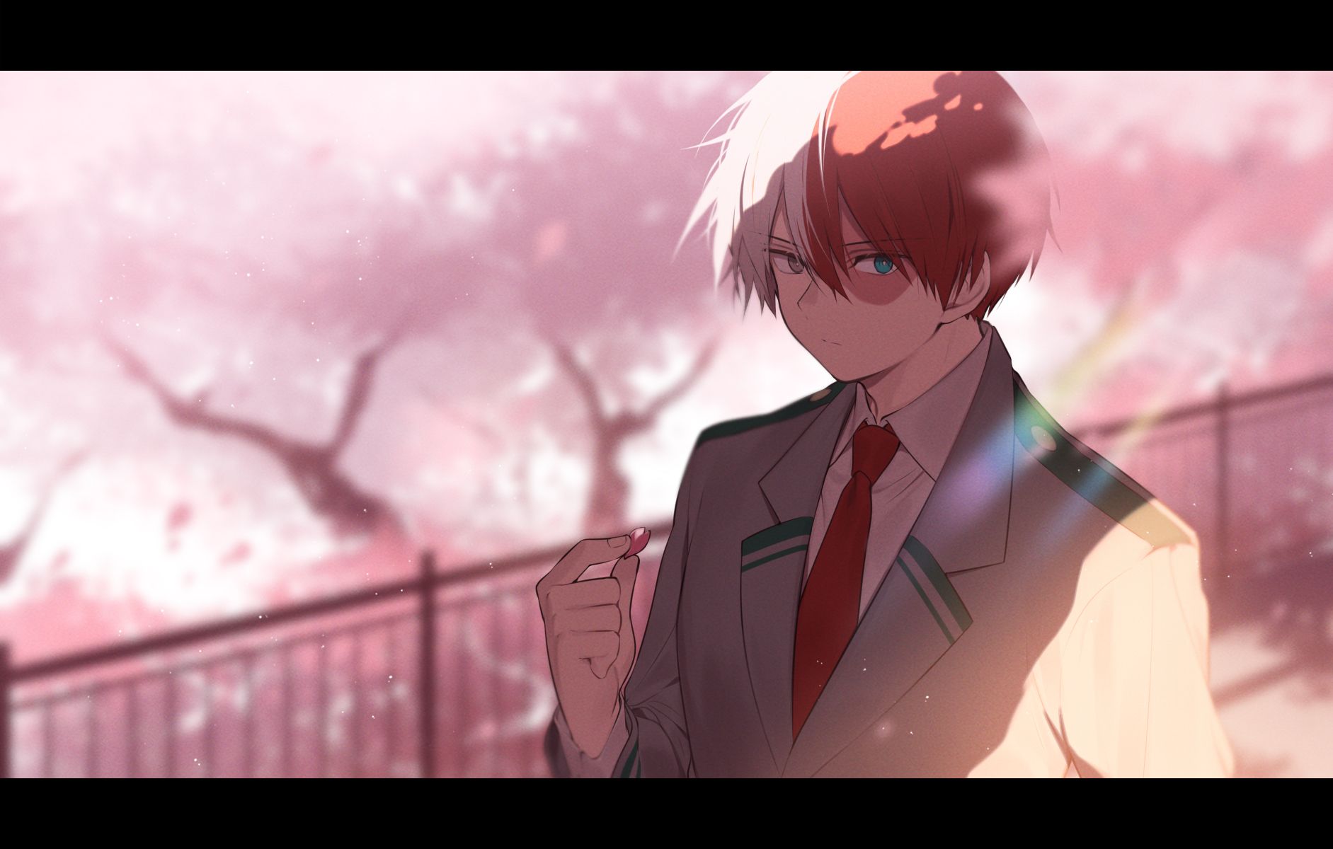 Shoto Todoroki