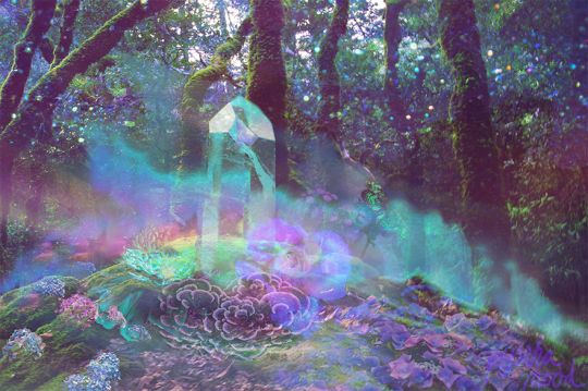 roblox fairyland background