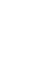denissesoto