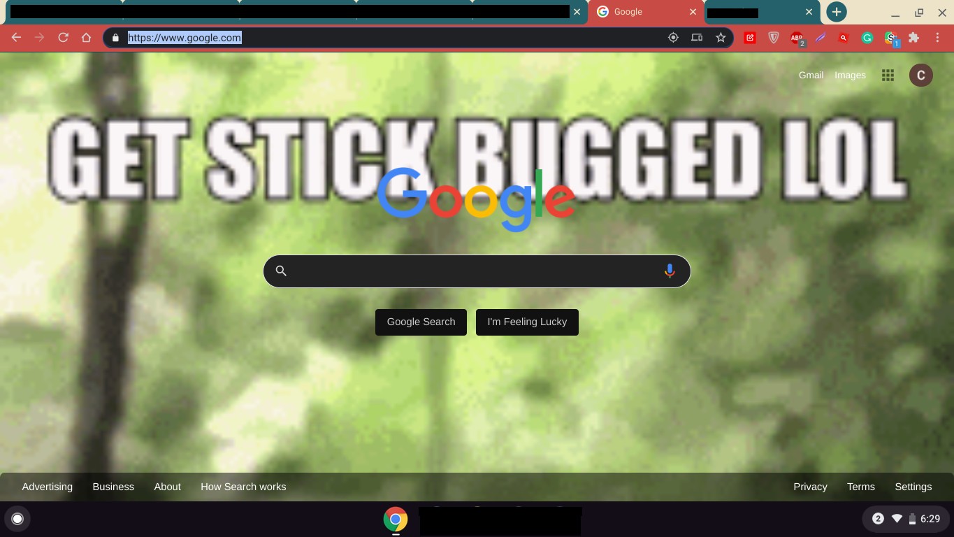 Stick Bugged
