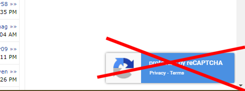 Remove Recaptcha thing