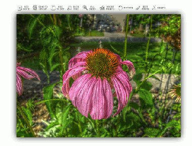 Flickr - Shadows Around Photos