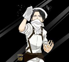Just levi cleaning
