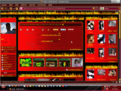 ORKUTFIRE ((((PROFISSIONAL))))