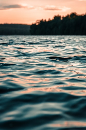 aesthetic calm ocean theme