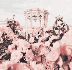 Pink Flower Aesthetic for Roblox