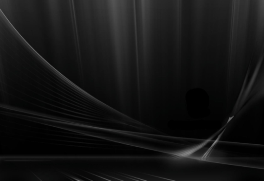 Firefox 3.5 - ("about:blank")  Black & Silver