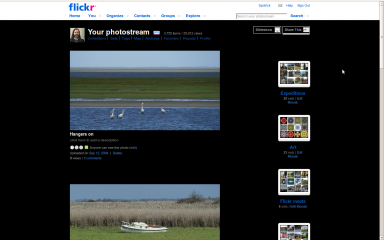 Flickr on black