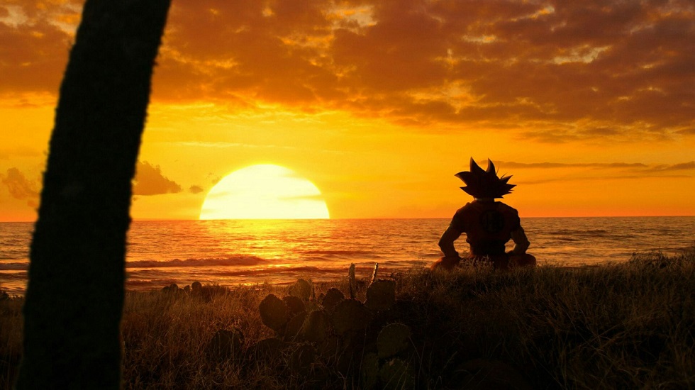 Dragon Ball by Mitsiki123456