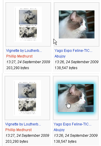 Image highlight on hover.