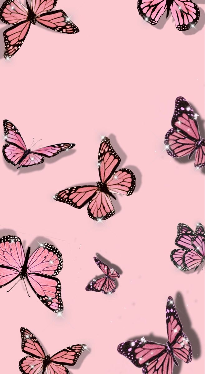 roblox butterfly pink theme