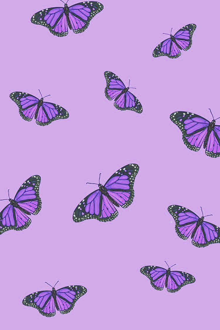 roblox purple butterfly theme
