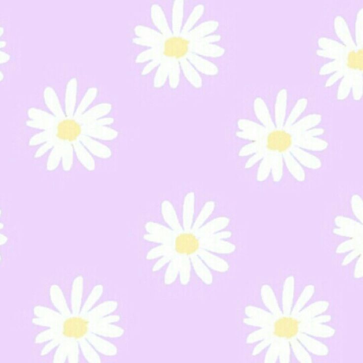 pastel purple daisy roblox theme