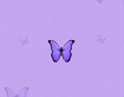 light purple butterfly roblox theme 2