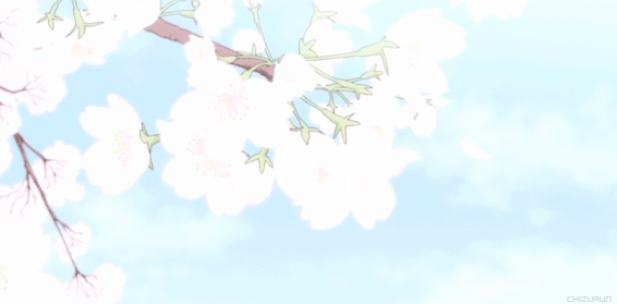 aesthetic blossom ♡
