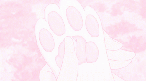 cat paws ♡