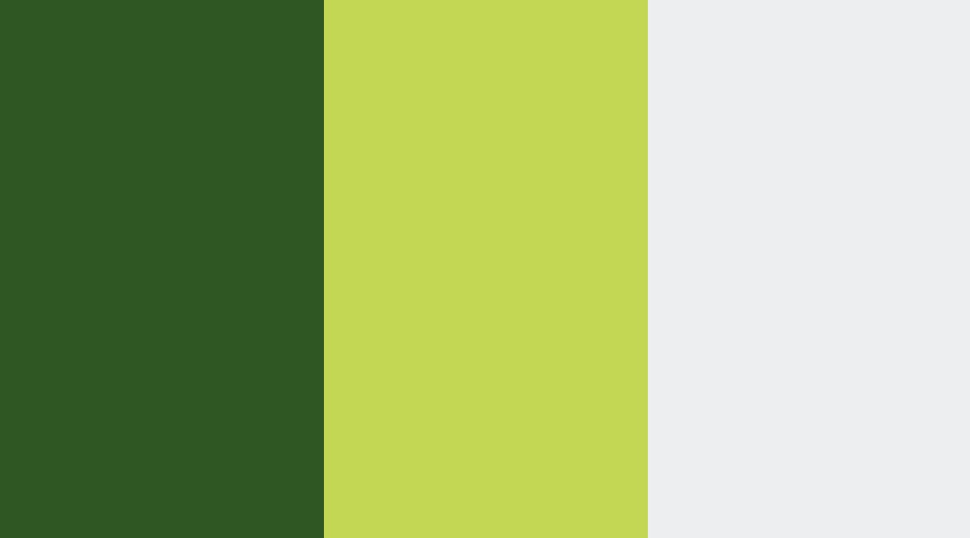 Anime 365 (color background)