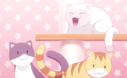 kawaii cat ♡