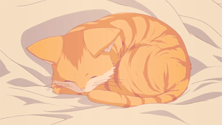 cat v3 ♡