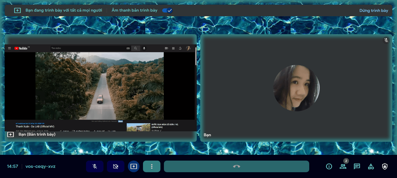 Blue Area ( Google Meet )