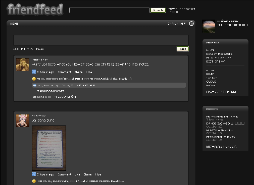 FriendFeed Monochrome 0.04 (29.08.09)