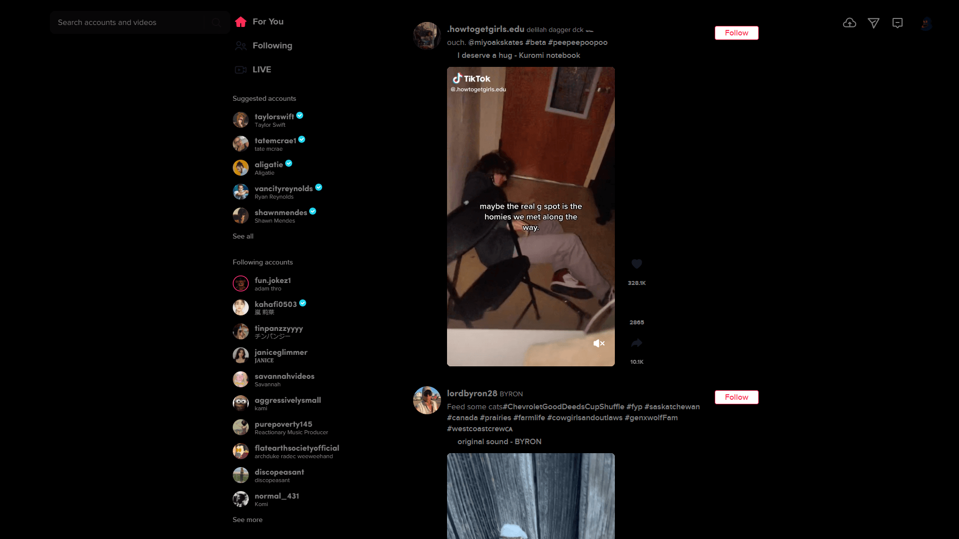 Dark Tiktok | CSS